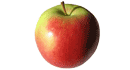 Apfel