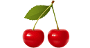 Sour cherry